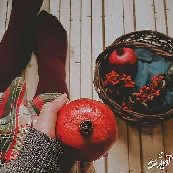 عکس پروفایل یلدا عکس شب یلدا با کیفیت بالا عکس شب یلدا خانوادگی عکس شب یلدا دونفره عکس برای شب یلدا دخترانه عکس شب یلدا 1402 عکس شب یلدا عاشقانه عکس پروفایل یلدا u;s \v,thdg dgnh